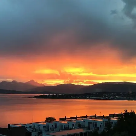 Floylia Arctic Tromsø